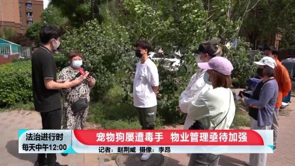 近日，北京这一小区多只宠物狗突然死亡，医生：人工投毒