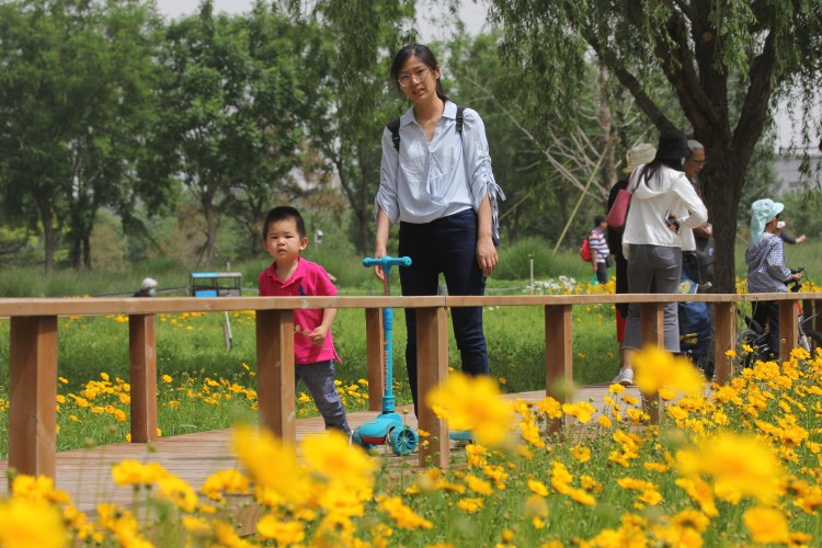 带宠物逛公园，盘点一下北京能带狗去的7个景点，出行前做好攻略