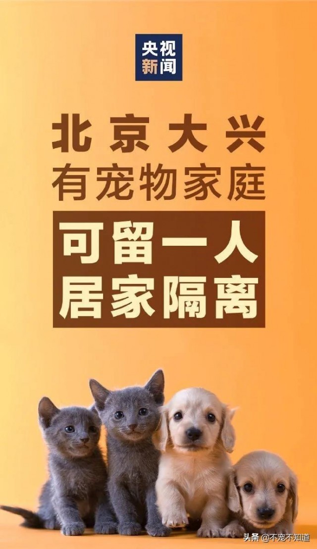 北京：有宠物的家庭可以留一个人在家隔离